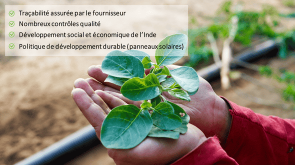 Ashwagandha Shoden : une alliance de qualité, traçabilité et dévellopement durable Ashwagandha Shoden : une alliance de qualité, traçabilité et dévellopement durable